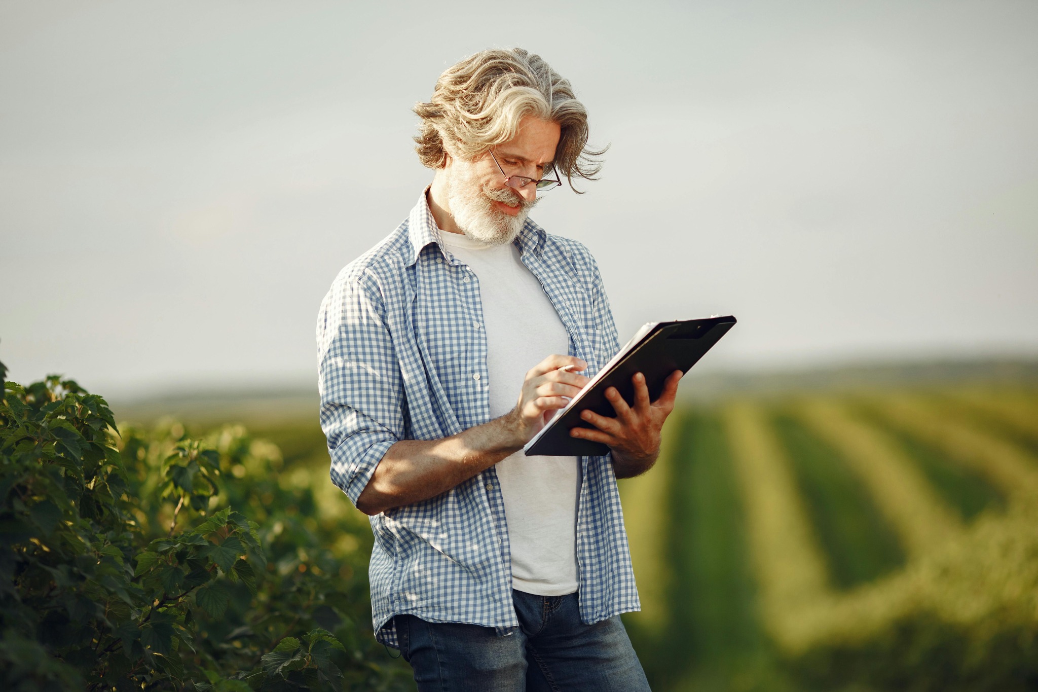 Farmer inspecting crops in field while using digital tablet