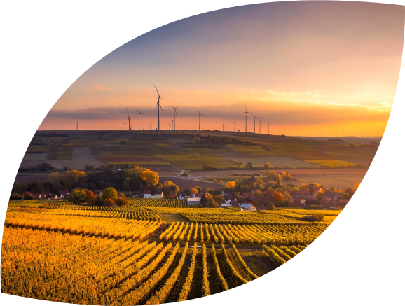 Crop fields with wind turbines in distance